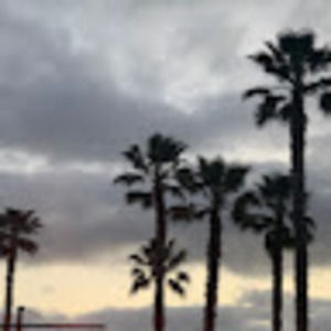 Meet your Posher, Leon